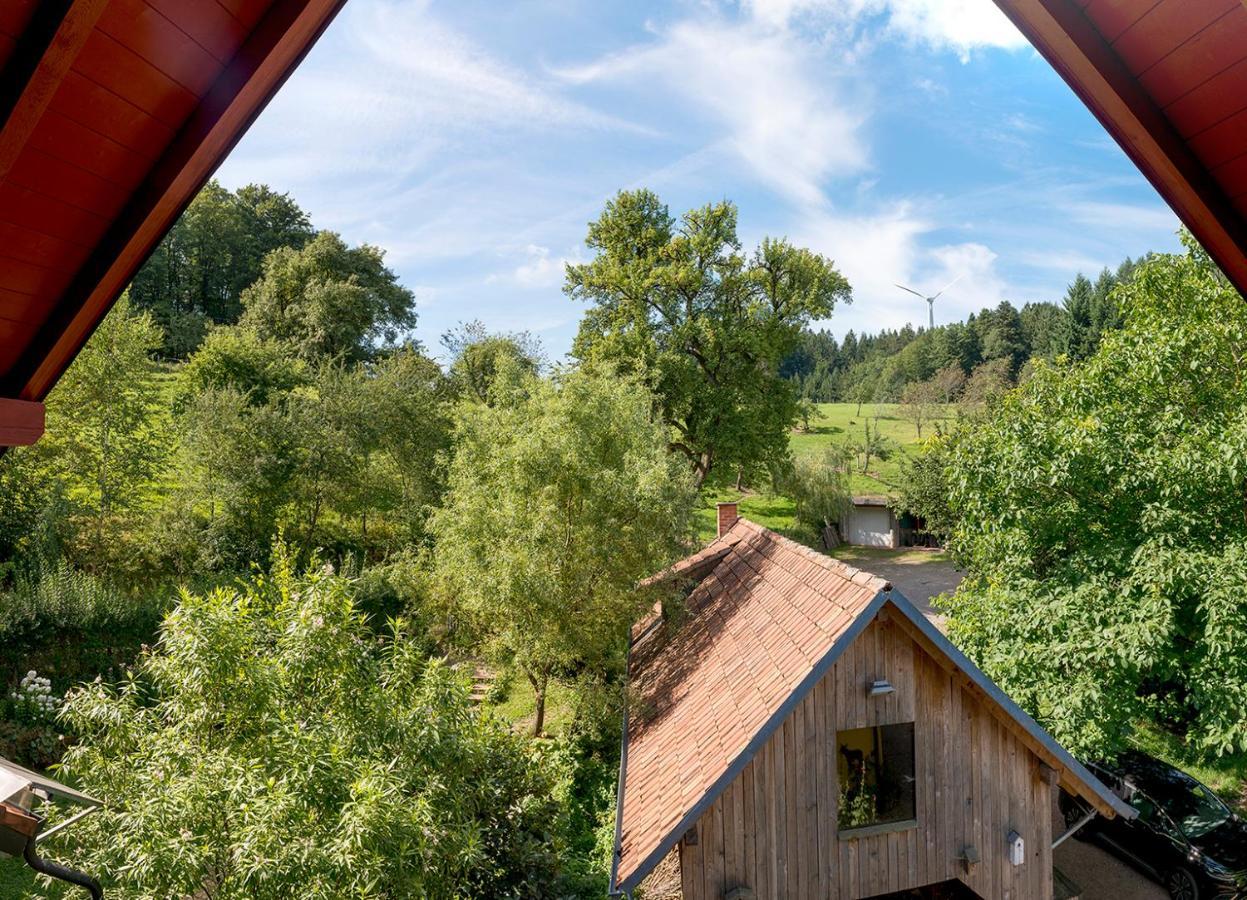 Ferienwohnung Jolly Joker Freiamt Zewnętrze zdjęcie