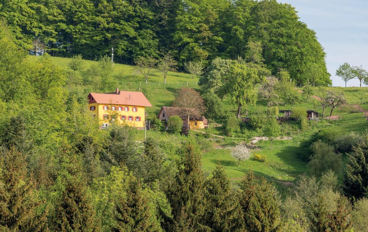 Ferienwohnung Jolly Joker Freiamt Zewnętrze zdjęcie